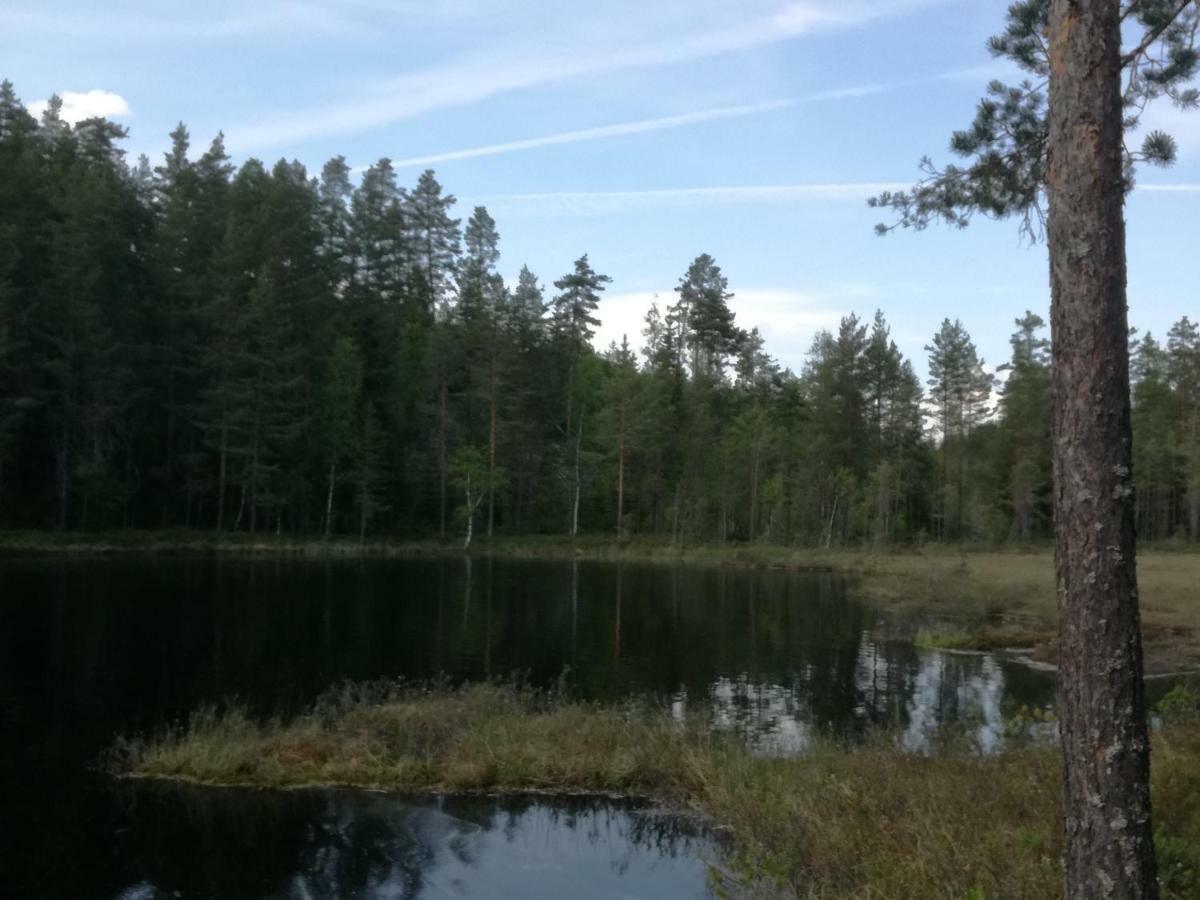 Presterudveien 125 Vikersund Εξωτερικό φωτογραφία