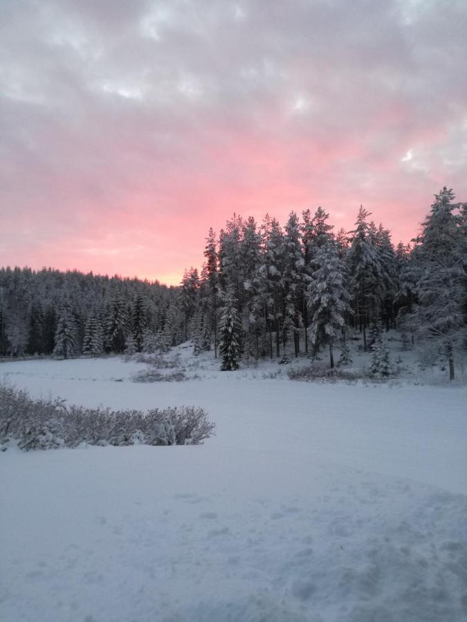 Presterudveien 125 Vikersund Εξωτερικό φωτογραφία