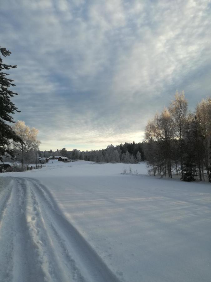 Presterudveien 125 Vikersund Εξωτερικό φωτογραφία