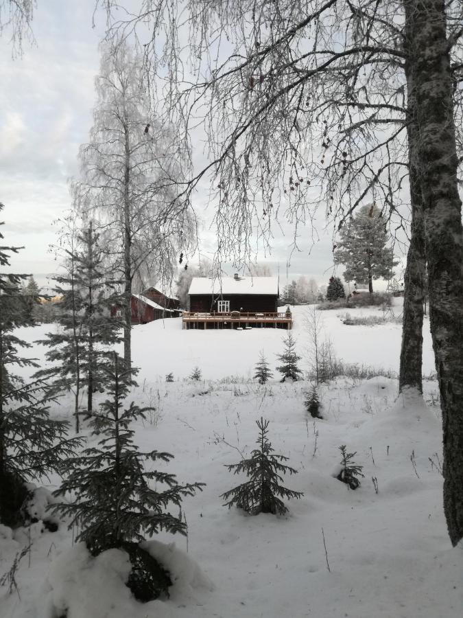 Presterudveien 125 Vikersund Εξωτερικό φωτογραφία
