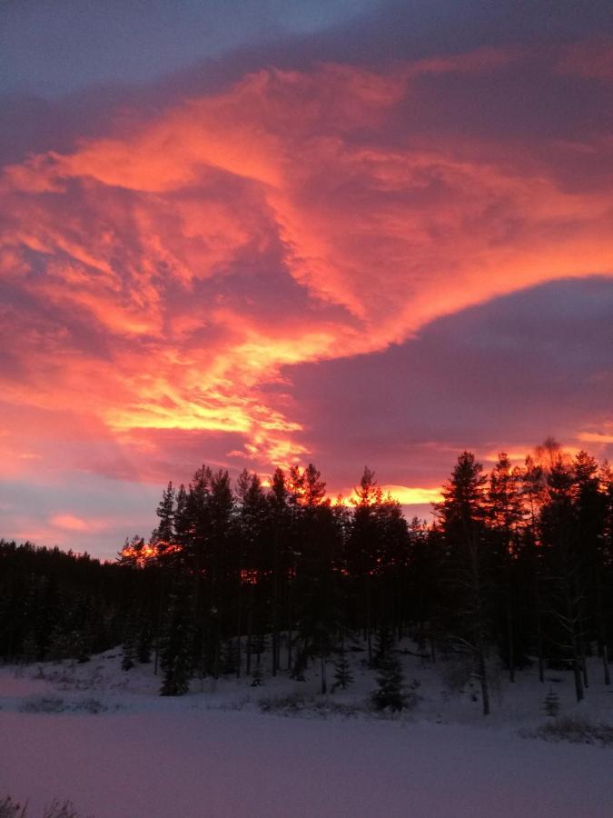 Presterudveien 125 Vikersund Εξωτερικό φωτογραφία