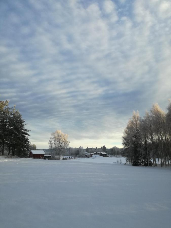 Presterudveien 125 Vikersund Εξωτερικό φωτογραφία
